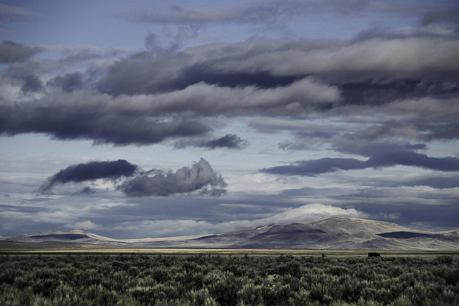 Nevada Blue Skies Photograph by Karen W Meyer - Fine Art America