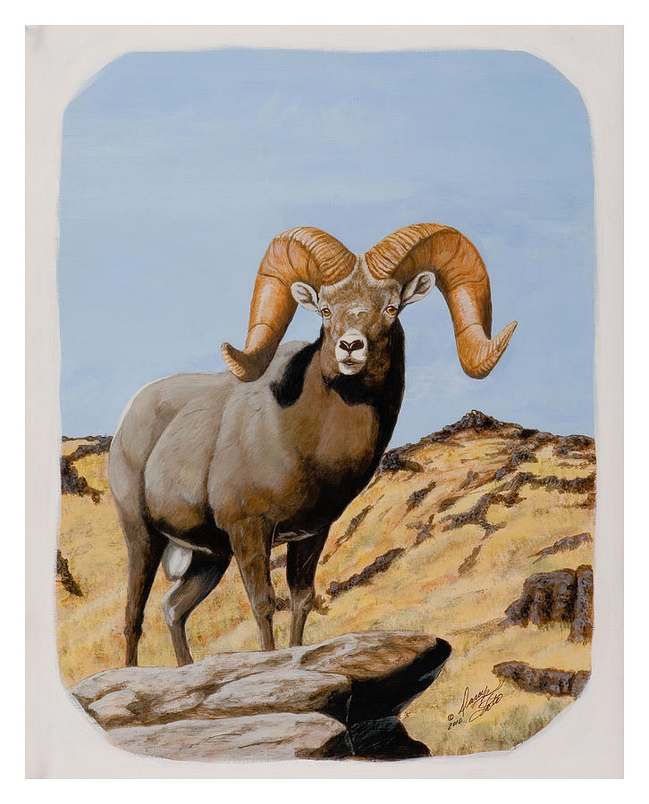Nevada California Bighorn Painting by Darcy Tate