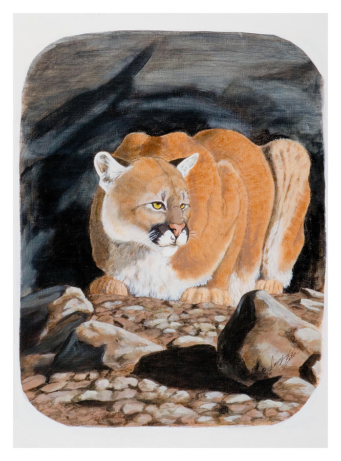 Nevada Cougar Painting by Darcy Tate