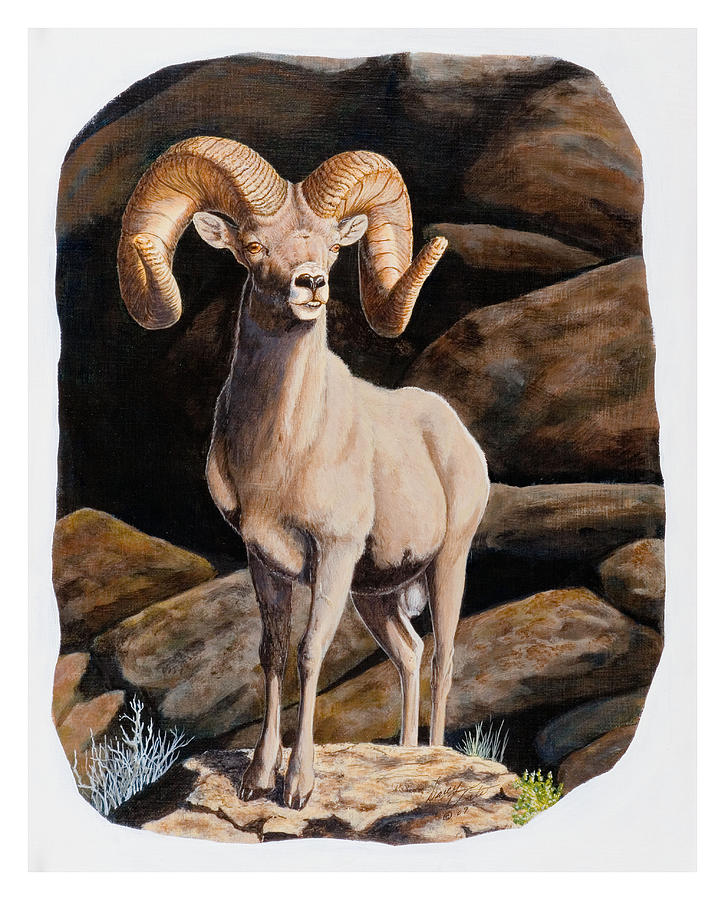 Nevada Desert Bighorn Painting by Darcy Tate