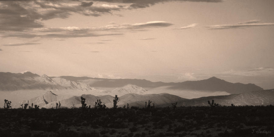 Nevada Desert  Photograph by Joseph Hedaya