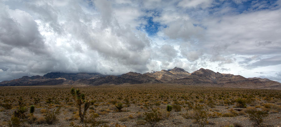 Nevada Photograph - Nevada Desert Pnaoramic by Timothy Denehy