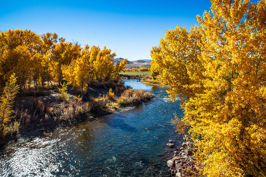 Nevada Gold Photograph by John Crowe - Fine Art America