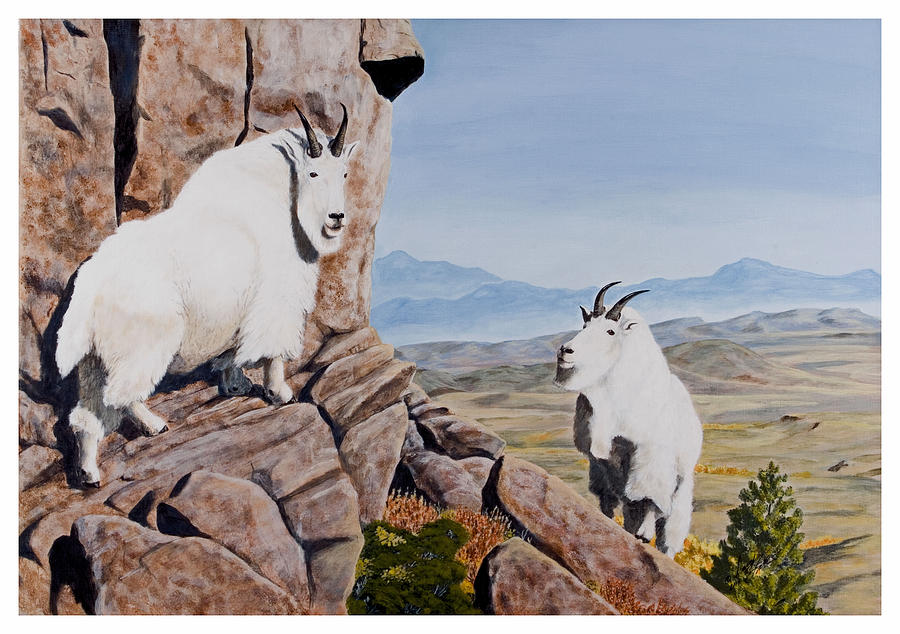 Nevada Mountain Goats Painting by Darcy Tate