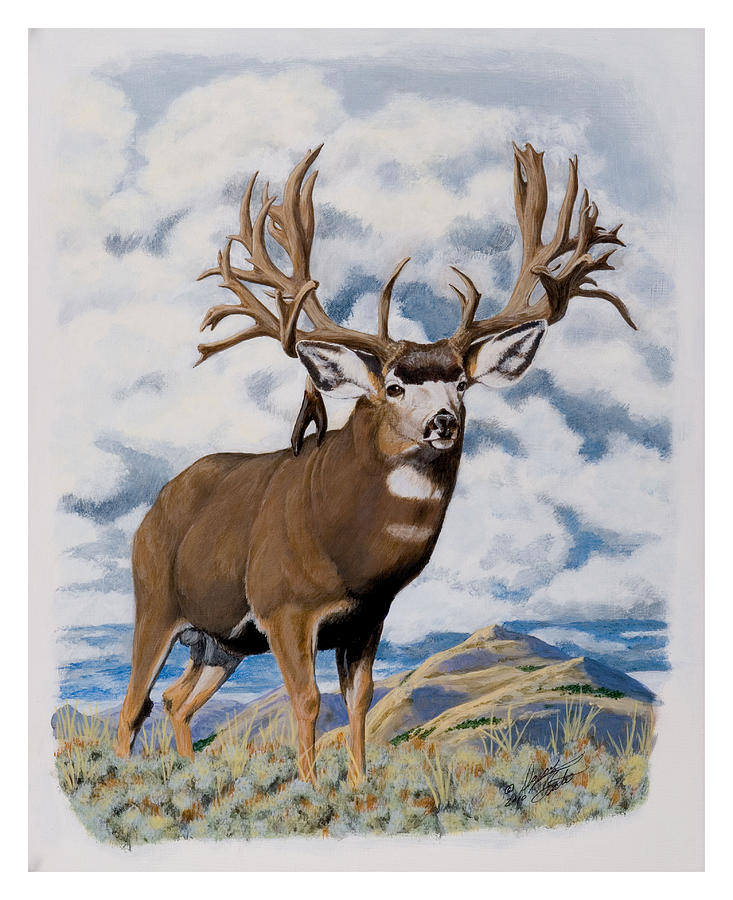 Nevada USA Elk Back Print Long Sleeve Hoody for Man