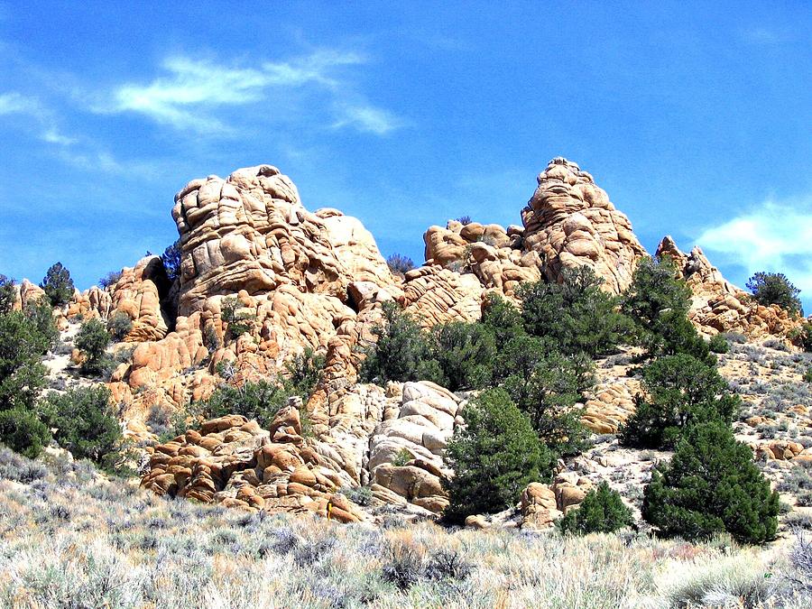 Nevada Rock Formations 1 Photograph by Will Borden