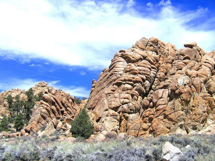Nevada Rock Formations 2 Photograph by Will Borden