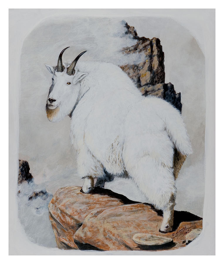 Nevada Rocky Mountain Goat Painting by Darcy Tate