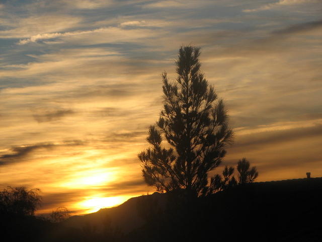 Nevada Sunset Photograph by John Glass