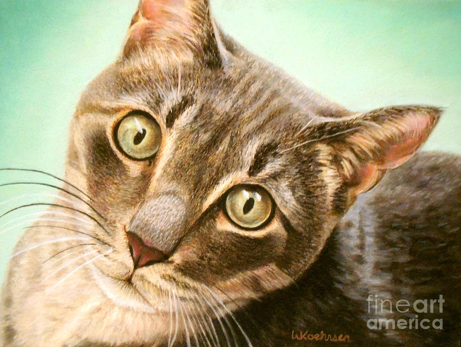Curious Tabby Cat Pastel by Wendy Koehrsen