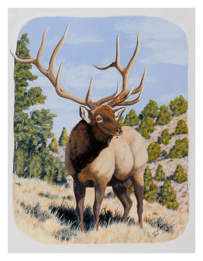 Nevada Typical Elk Painting by Darcy Tate