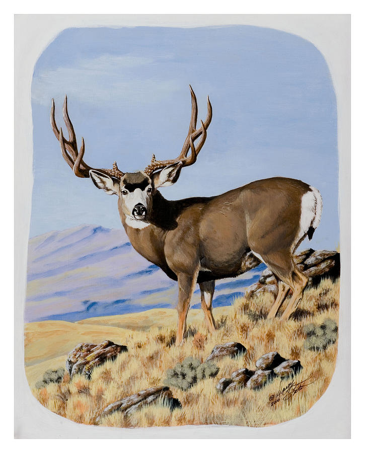 Nevada Typical Mule Deer Painting by Darcy Tate