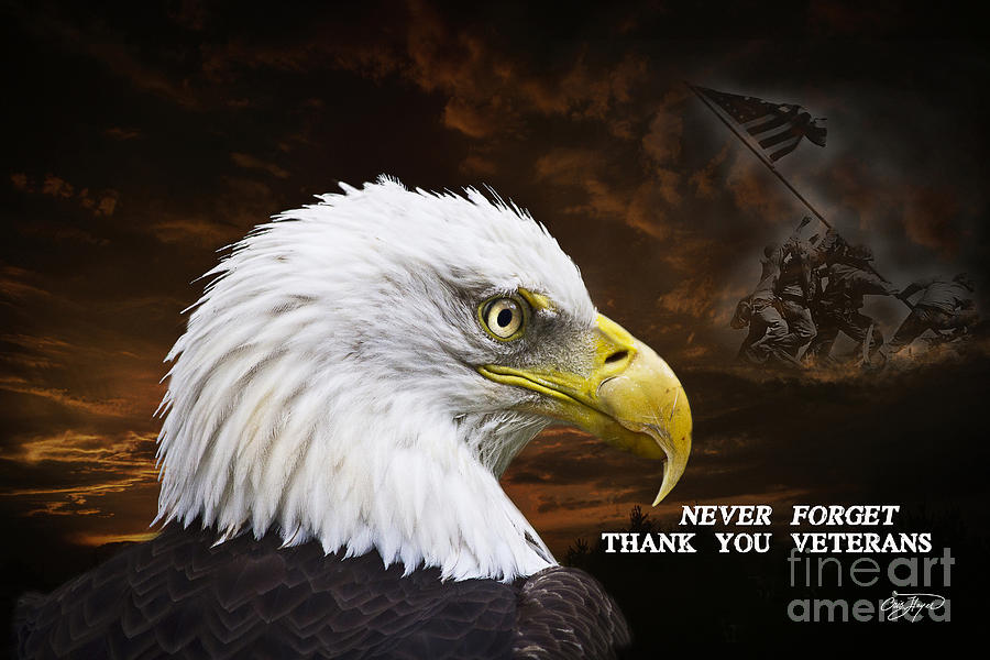 Eagle Photograph - Never Forget - Memorial Day by Cris Hayes