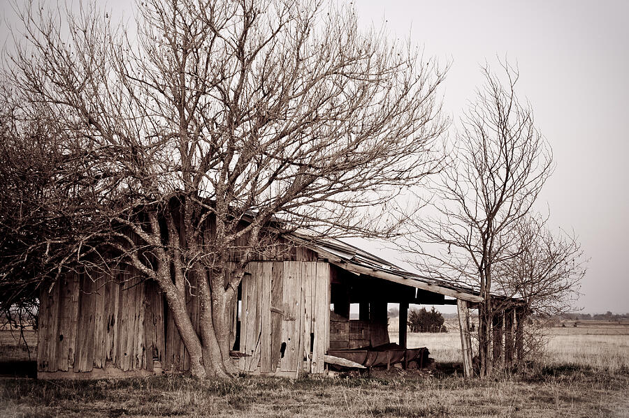 Tree Photograph - Never Forgotten - Rustic Barn by Gregory Ballos