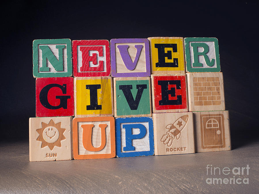 Never Give Up Photograph by Art Whitton