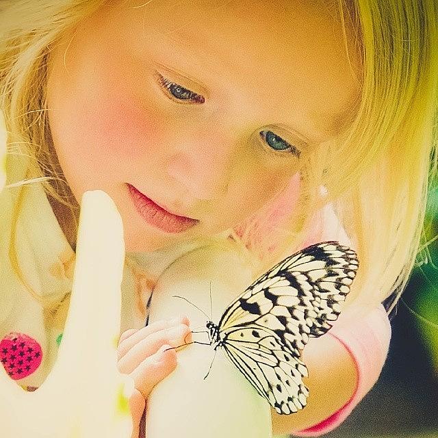 Butterfly Photograph - Never Lose That Childlike Wonder That by Brandy Meza