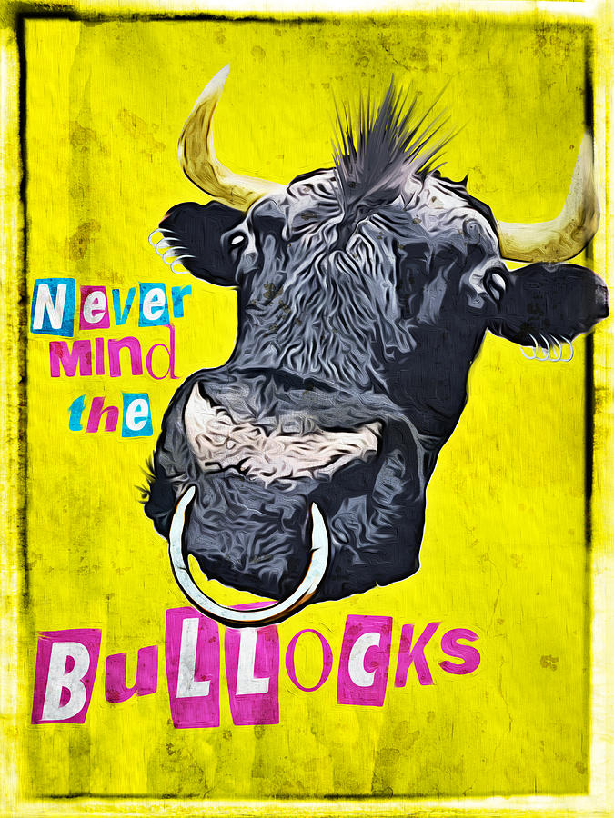 Music Photograph - Never mind the bullocks. by Duncan Roberts