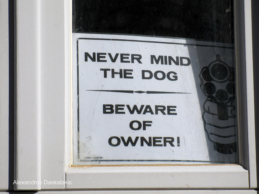 Never Mind The Dog Photograph by Alexandros Daskalakis