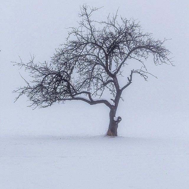 Never Saw Such Deep Fog 😱 Photograph by Aldona Pivoriene