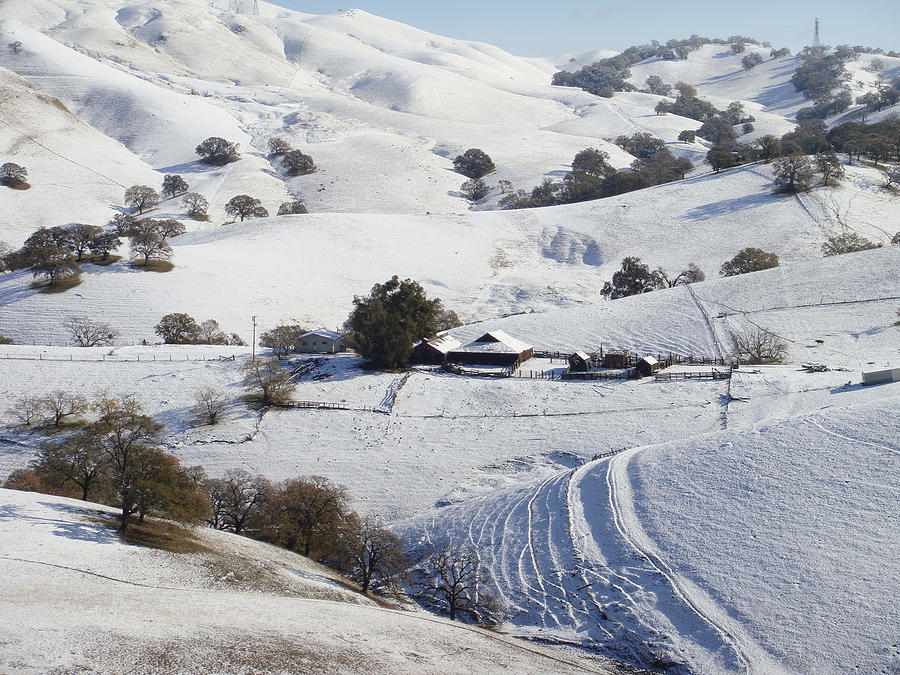 Never Snows in California Photograph by Donna Blackhall