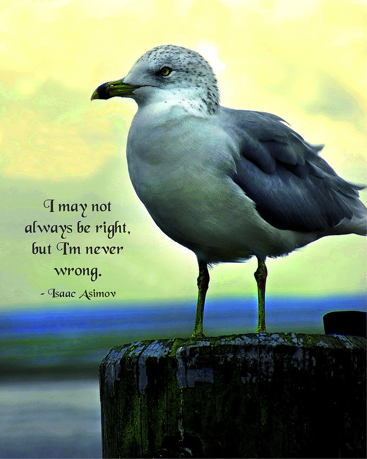 Never Wrong Photograph by Mike Flynn