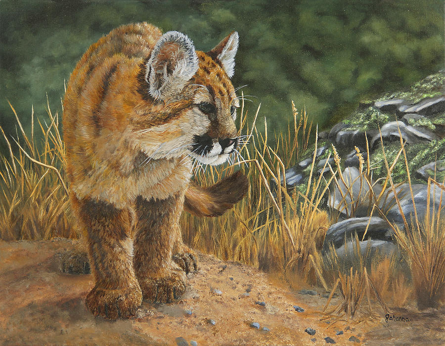 New Adventures - Cougar Cub Painting by Johanna Lerwick