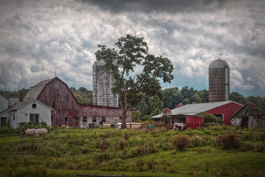 Farm Digital Art - New and Old Barn by Linda Unger