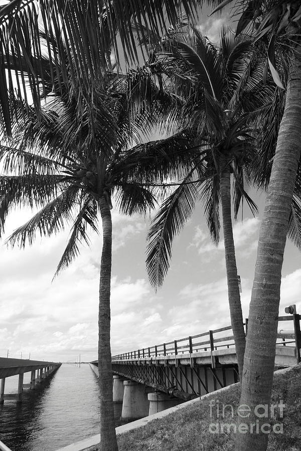 Miami Photograph - New And Old Bridge Overseas Highway by Christiane Schulze Art And Photography