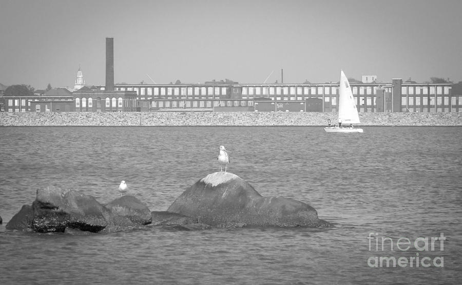 New Bedford Massachusetts Black White Photograph by Andrea Anderegg