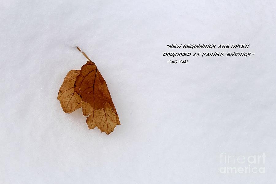 New Beginnings Photograph by Jimmy Ostgard