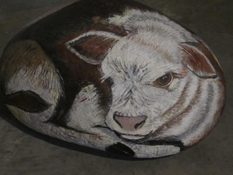 Rock Painting - New Born Calf by Sharon Duguay