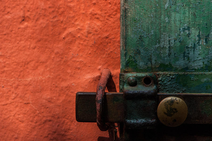 New Color Scheme Camouflages Rust and Mold Photograph by Alex Lapidus