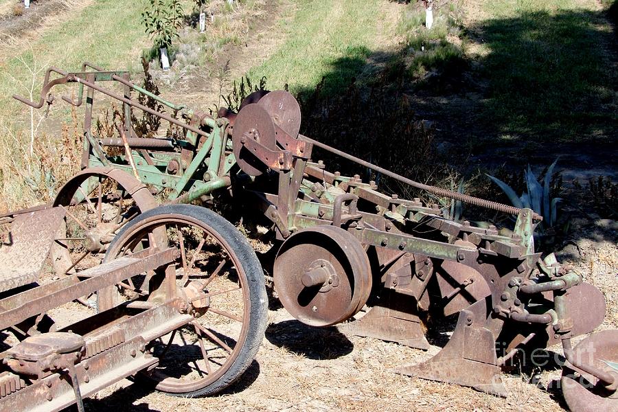 New Crop Antiquated Plow Photograph by Mary Deal