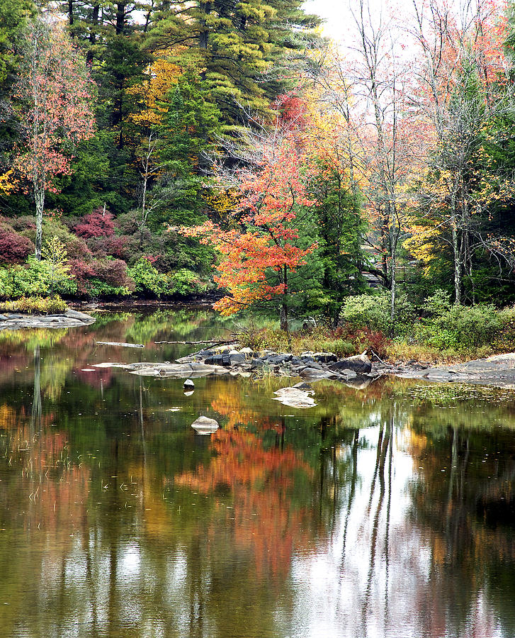 Fall Photograph - New England Autumn #1 by Patrick Derickson