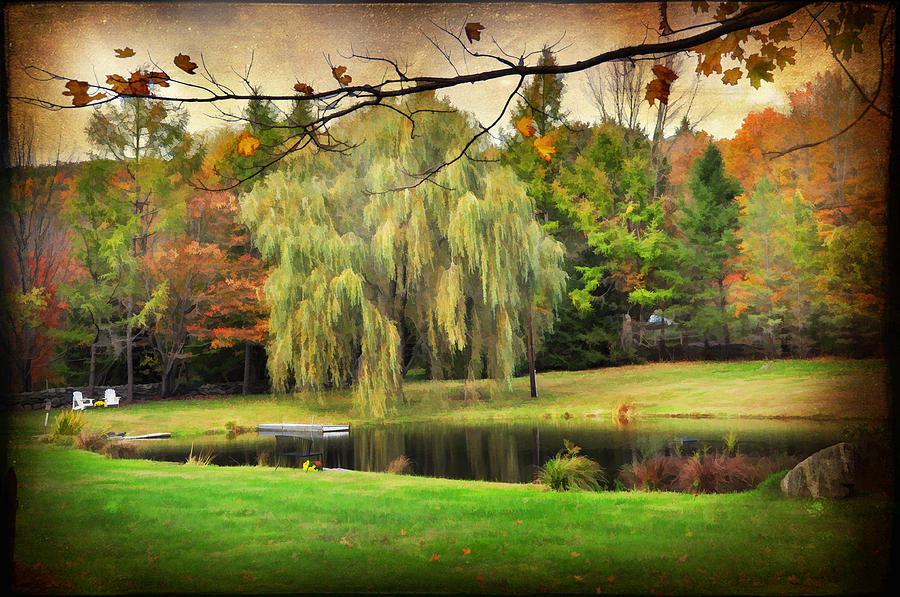 New England Autumn Photograph by Barbara Manis