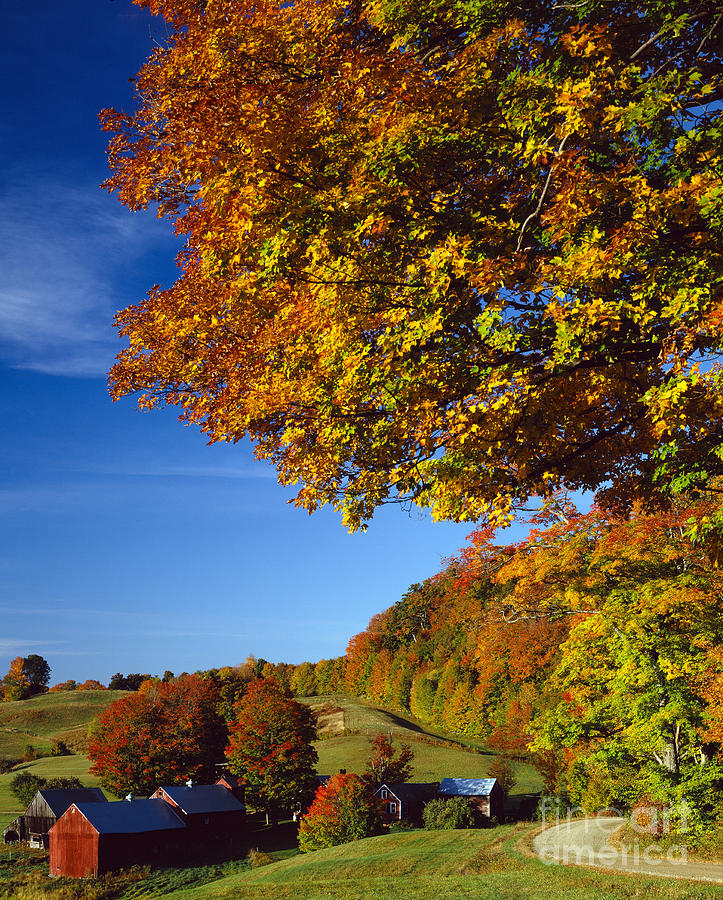 Fall Photograph - New England Autumn by Rafael Macia