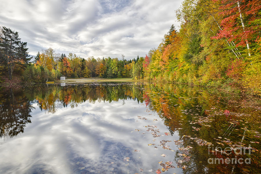 New England Autumn - White Mountains New Hampshire USA  Photograph by Erin Paul Donovan