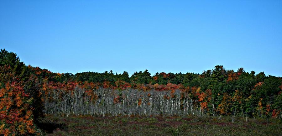 New England Color Photograph by Barbara S Nickerson
