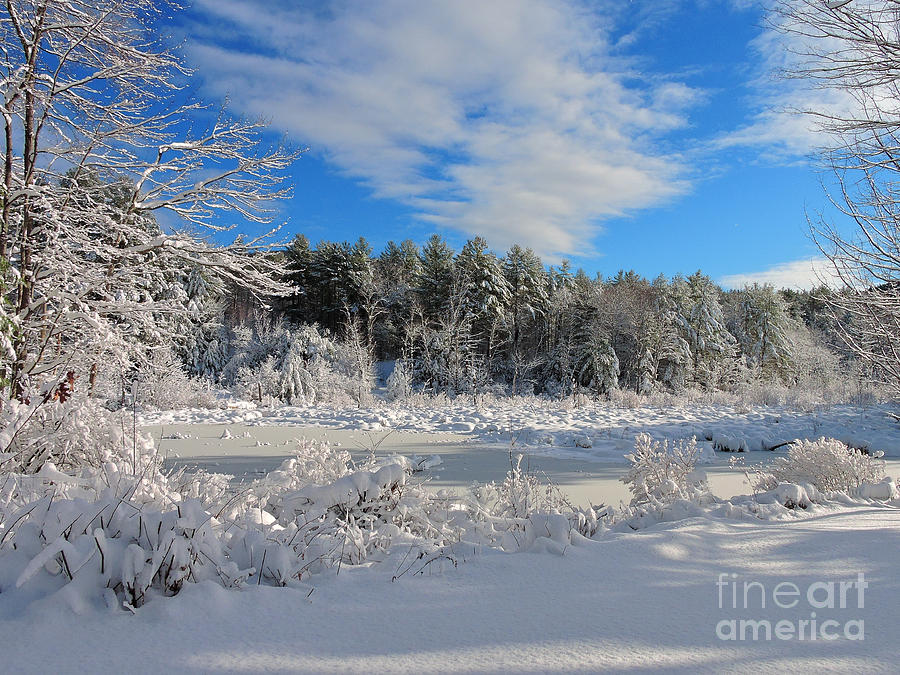 New England Country Photograph by Mim White