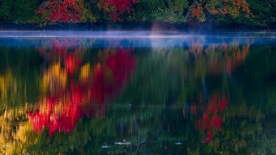 New England Photograph - New England Fall Abstract by Darius Aniunas