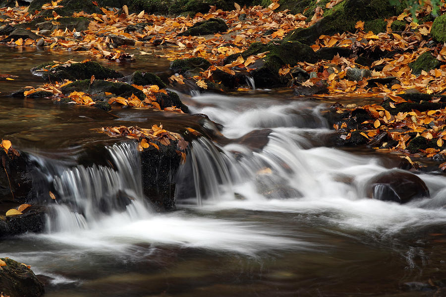 New England Fall Foliage and Waterfall Cascades Photograph by Juergen Roth
