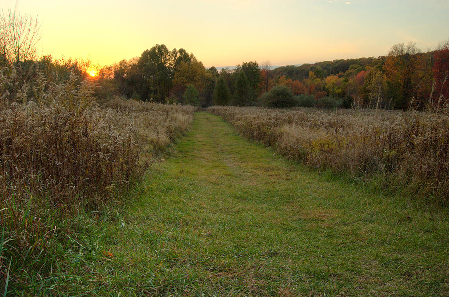 New England Field Photograph by Michael Yamin Fine Art America