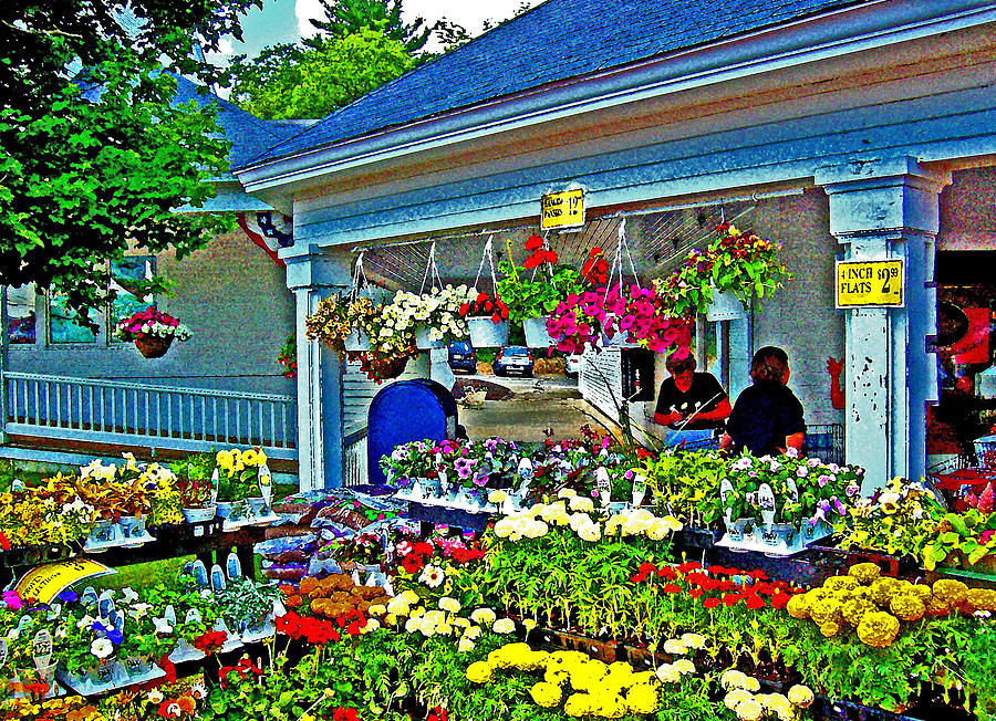 New England Flower Shops Photograph by Joseph Coulombe