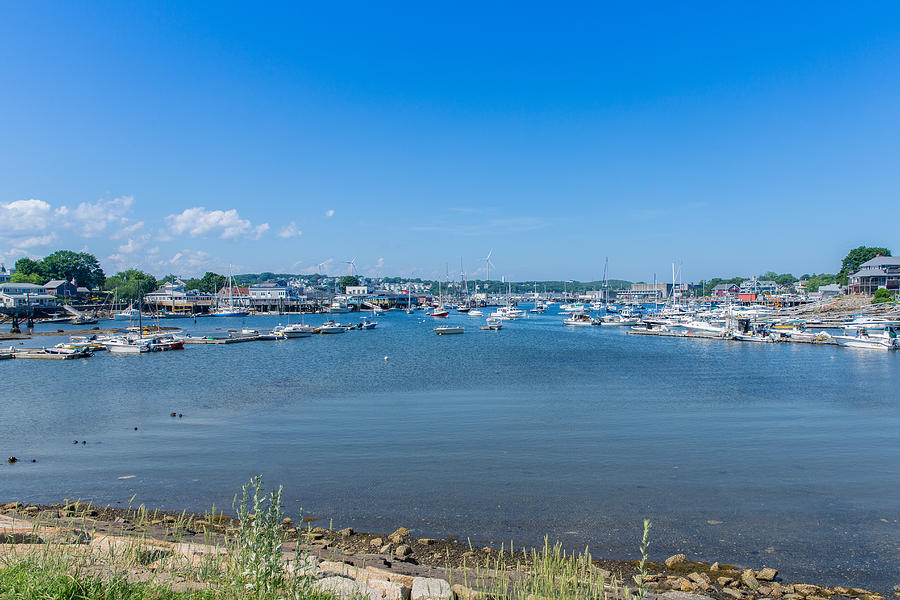 New England Harbor Photograph by John M Bailey - Fine Art America