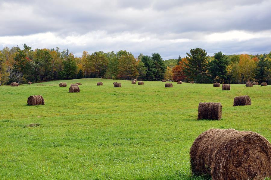 New England Hay Bales Photograph by Glenn Gordon