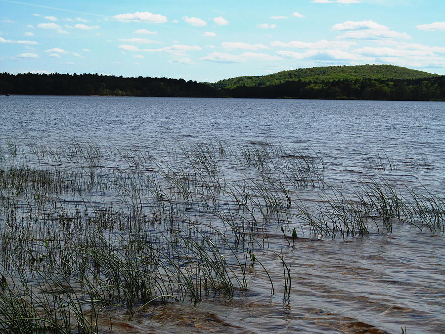 New England Lake View Photograph by Loretta Pokorny