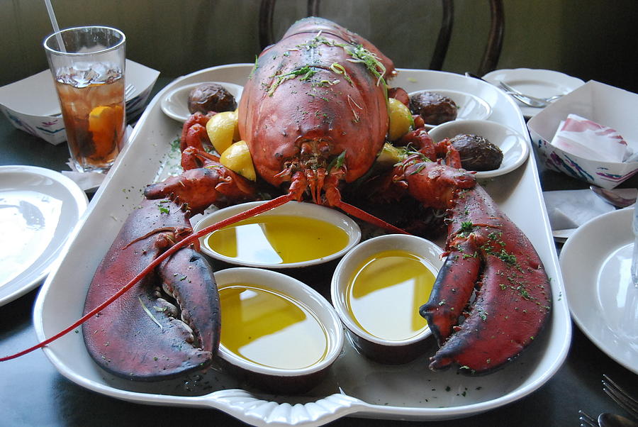 New England Lobster Photograph by Caroline Stella