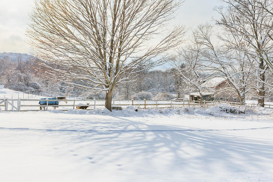 Farm Photograph - New England Winter by Bill Wakeley