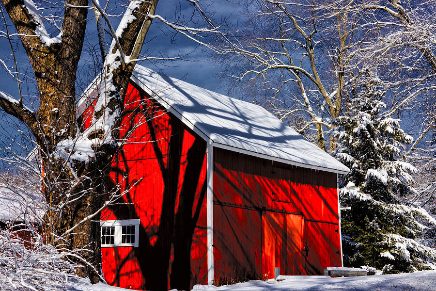 Winter Photograph - New England Winter by Karol Livote