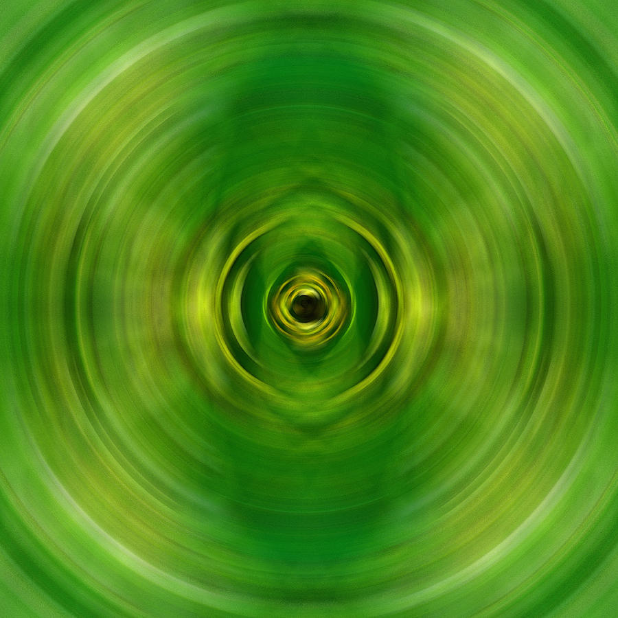 Abstract Painting - New Growth - Green Art by Sharon Cummings by Sharon Cummings